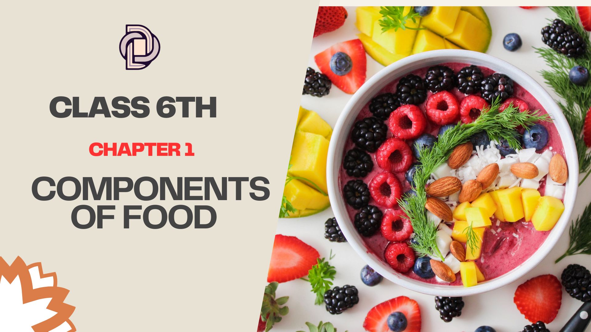 COMPONENTS OF FOOD
