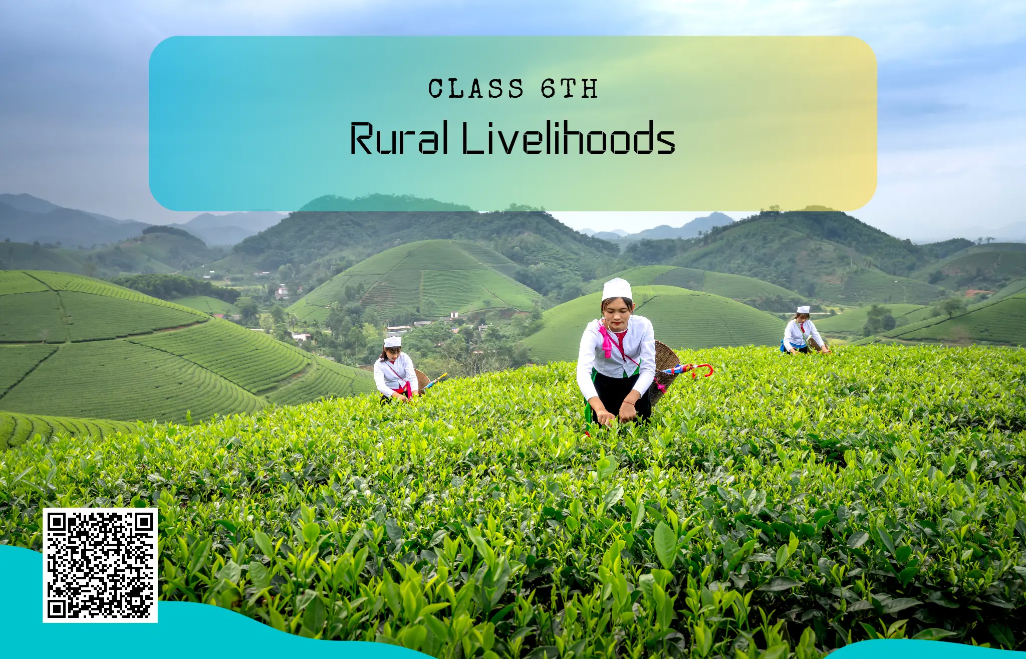 NCERT Solutions for Class 6 Civics Chapter 7 Rural Livelihoods