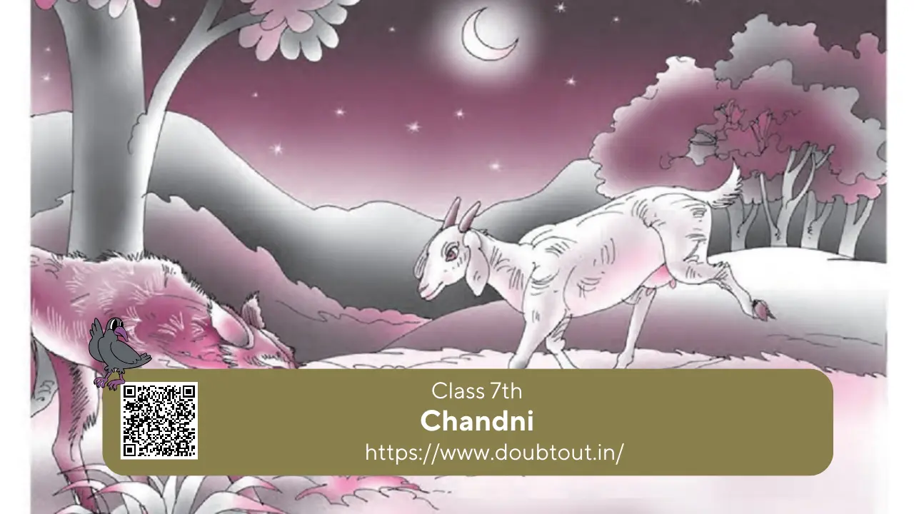 NCERT Solutions for Class 7 English Supplementary Chapter 4 Chandni
