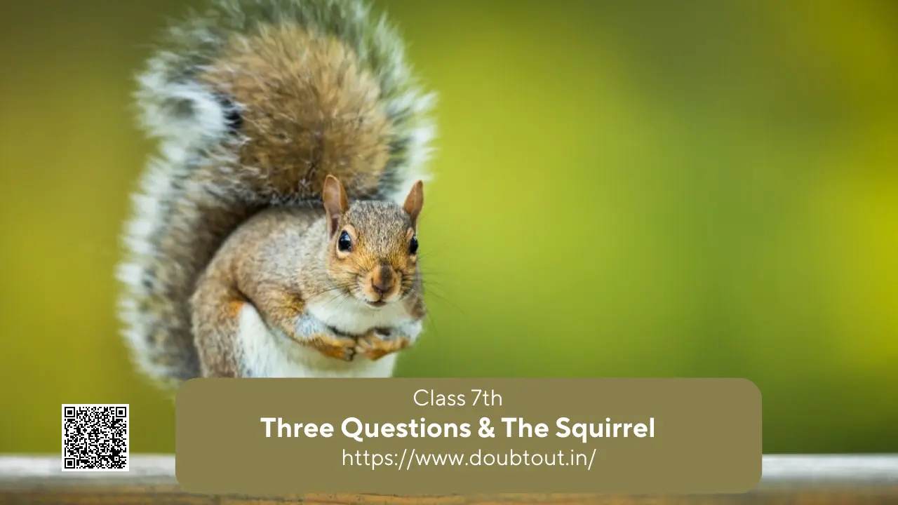 NCERT Solutions for Class 7 English Unit 1 Three Questions & The Squirrel