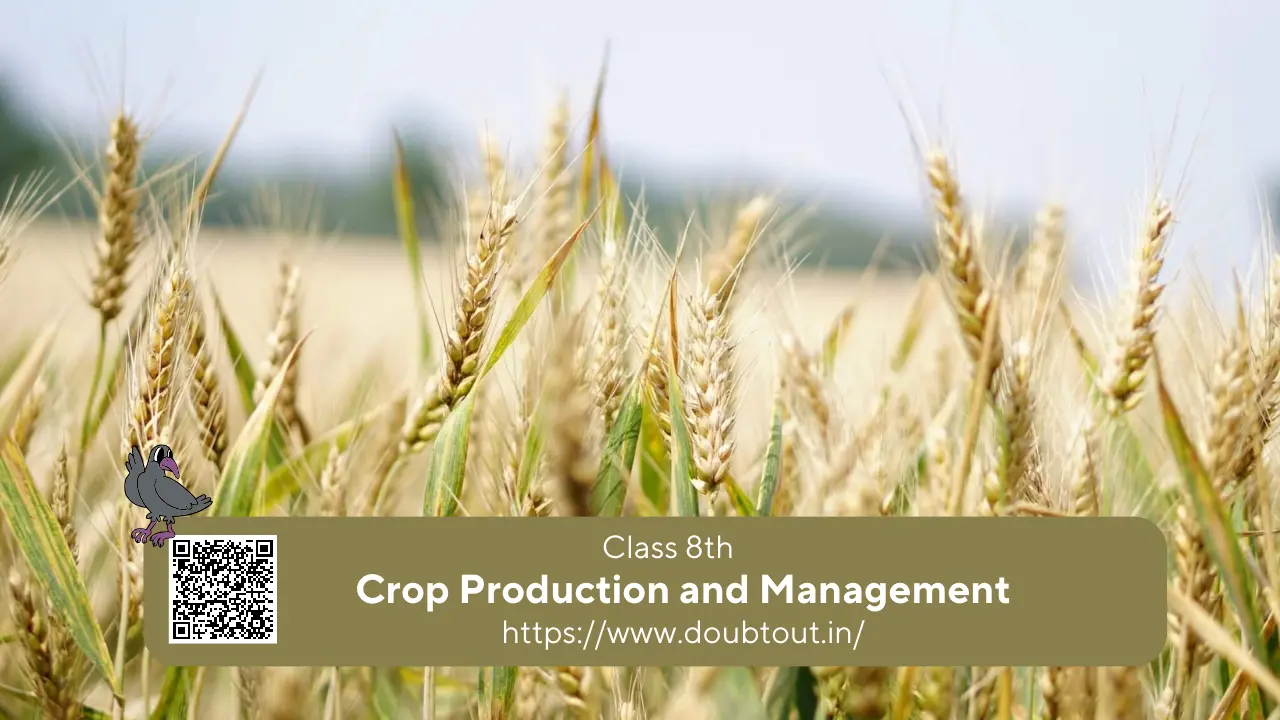 NCERT Solutions for Class 8 Science Chapter 1 Crop Production and Management