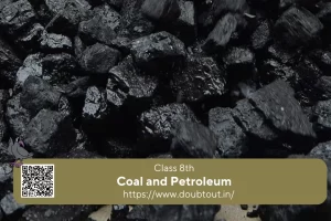 NCERT-Solutions-for-Class-8-Science-Chapter-3-Coal-and-Petroleumupdated-Pattern