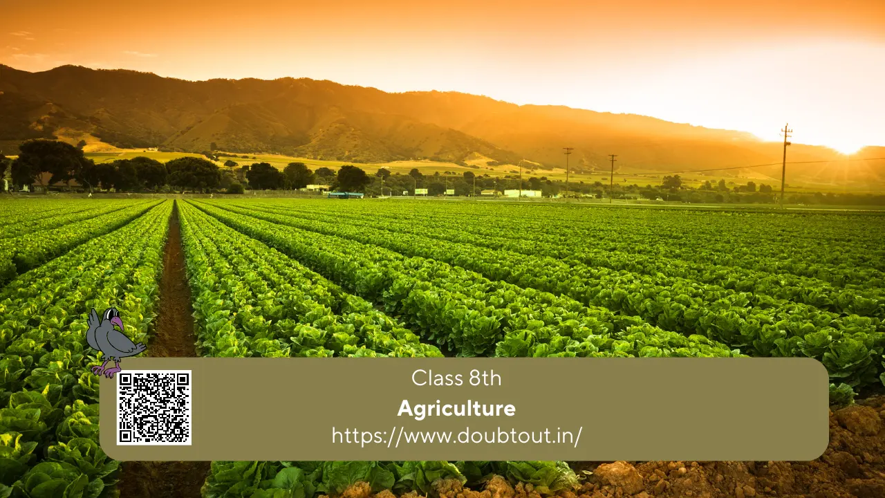 NCERT Solutions for Class 8 Geography Chapter 3 Agriculture (updated Syllabus)