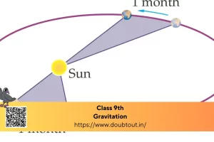 NCERT Solutions for Class 9 Science Chapter 10 – Gravitation (Updated Pattern)