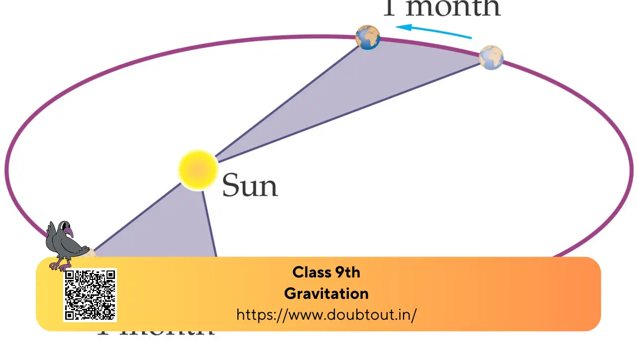 NCERT Solutions for Class 9 Science Chapter 10 – Gravitation (Updated Pattern)
