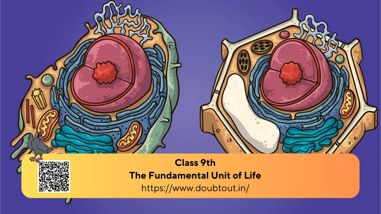 NCERT Solutions for Class 9 Science Chapter 5 – The Fundamental Unit of ...
